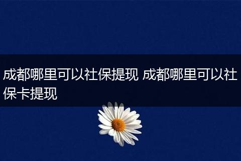 成都哪里可以社保提现 成都哪里可以社保卡提现