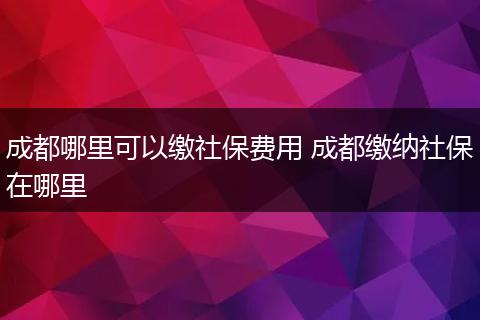 成都哪里可以缴社保费用 成都缴纳社保在哪里