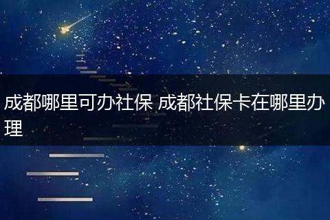 成都哪里可办社保 成都社保卡在哪里办理