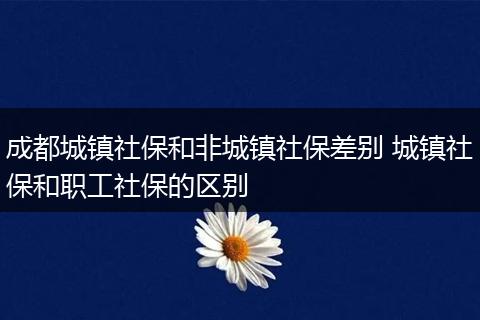 成都城镇社保和非城镇社保差别 城镇社保和职工社保的区别