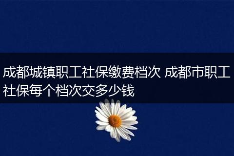 成都城镇职工社保缴费档次 成都市职工社保每个档次交多少钱