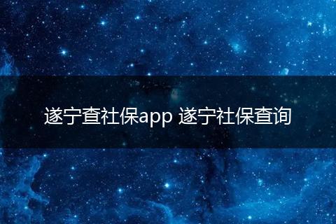 遂宁查社保app 遂宁社保查询