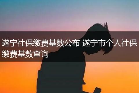 遂宁社保缴费基数公布 遂宁市个人社保缴费基数查询