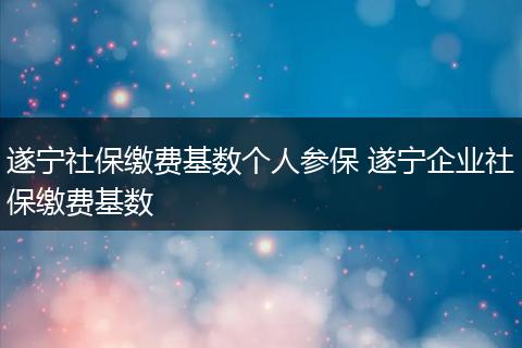 遂宁社保缴费基数个人参保 遂宁企业社保缴费基数