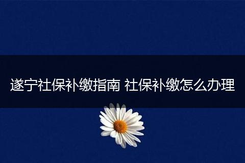 遂宁社保补缴指南 社保补缴怎么办理