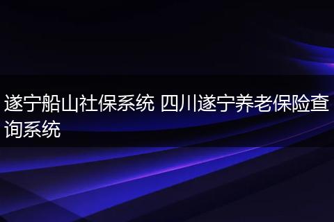 遂宁船山社保系统 四川遂宁养老保险查询系统