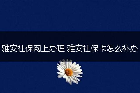雅安社保网上办理 雅安社保卡怎么补办