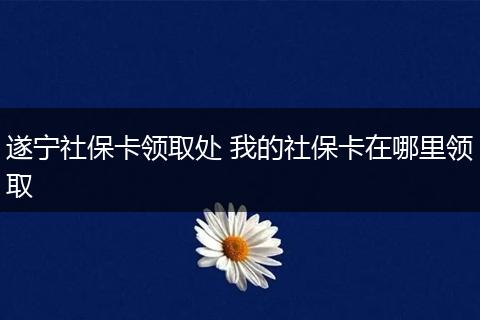 遂宁社保卡领取处 我的社保卡在哪里领取