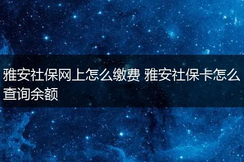 雅安社保网上怎么缴费 雅安社保卡怎么查询余额