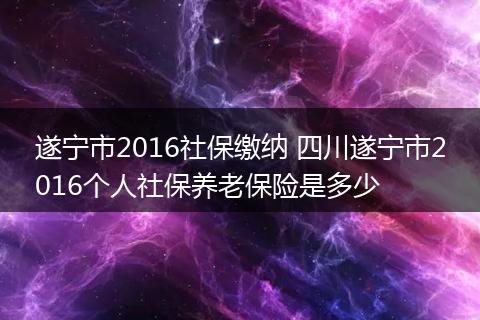 遂宁市2016社保缴纳 四川遂宁市2016个人社保养老保险是多少