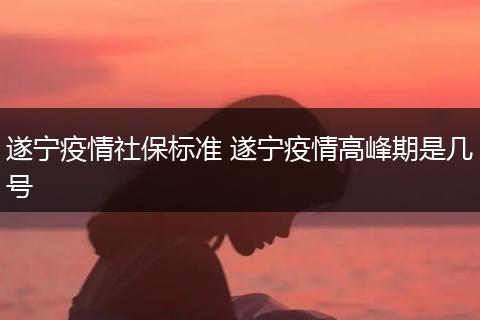 遂宁疫情社保标准 遂宁疫情高峰期是几号