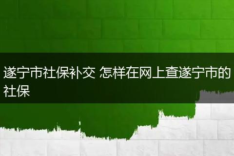 遂宁市社保补交 怎样在网上查遂宁市的社保