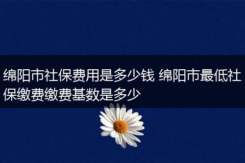 绵阳市社保费用是多少钱 绵阳市最低社保缴费缴费基数是多少