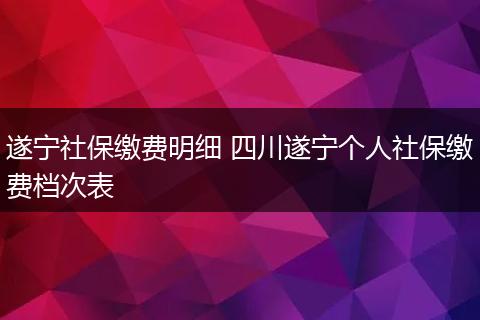 遂宁社保缴费明细 四川遂宁个人社保缴费档次表