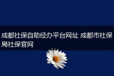 成都社保自助经办平台网址 成都市社保局社保官网