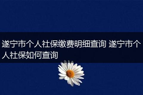 遂宁市个人社保缴费明细查询 遂宁市个人社保如何查询