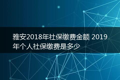 雅安2018年社保缴费金额 2019年个人社保缴费是多少