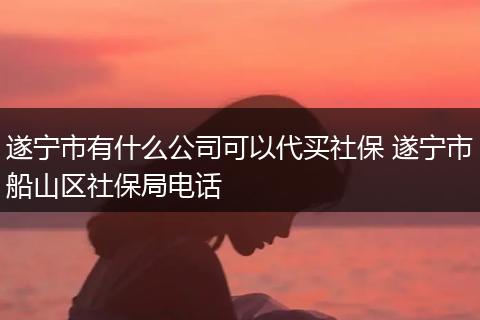遂宁市有什么公司可以代买社保 遂宁市船山区社保局电话