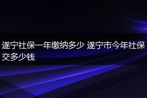 遂宁社保一年缴纳多少 遂宁市今年社保交多少钱