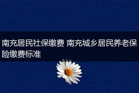 南充居民社保缴费 南充城乡居民养老保险缴费标准