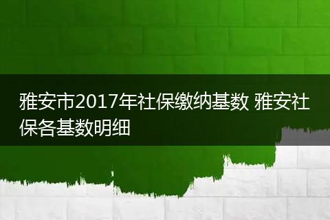 雅安市2017年社保缴纳基数 雅安社保各基数明细