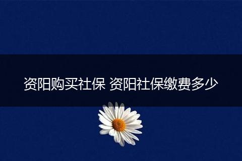 资阳购买社保 资阳社保缴费多少