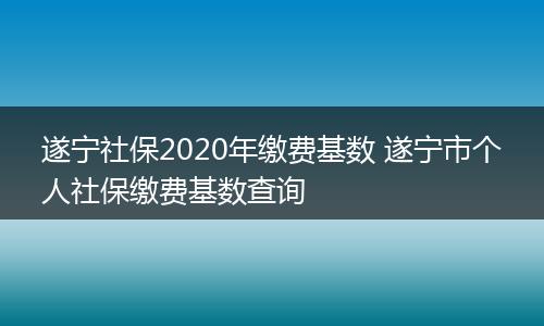 遂宁社保2020年缴费基数 遂宁市个人社保缴费基数查询