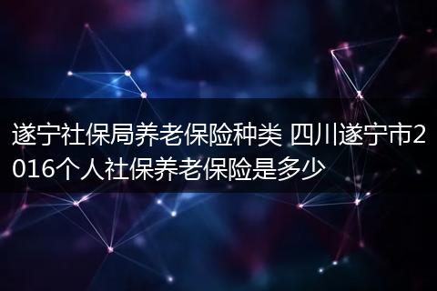 遂宁社保局养老保险种类 四川遂宁市2016个人社保养老保险是多少