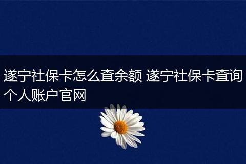 遂宁社保卡怎么查余额 遂宁社保卡查询个人账户官网