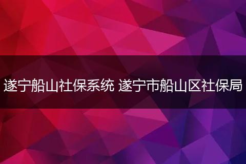 遂宁船山社保系统 遂宁市船山区社保局