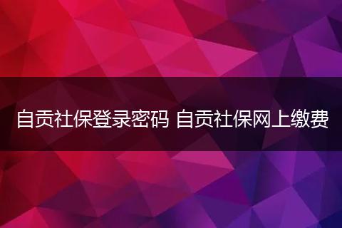 自贡社保登录密码 自贡社保网上缴费