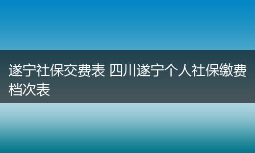 遂宁社保交费表 四川遂宁个人社保缴费档次表
