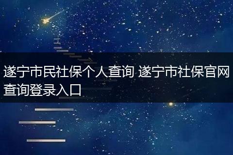 遂宁市民社保个人查询 遂宁市社保官网查询登录入口