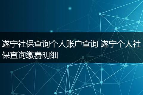 遂宁社保查询个人账户查询 遂宁个人社保查询缴费明细