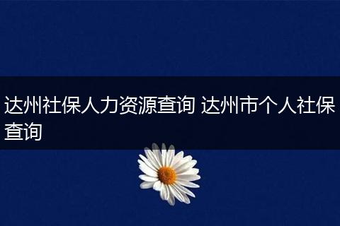 达州社保人力资源查询 达州市个人社保查询