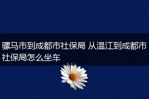 骡马市到成都市社保局 从温江到成都市社保局怎么坐车