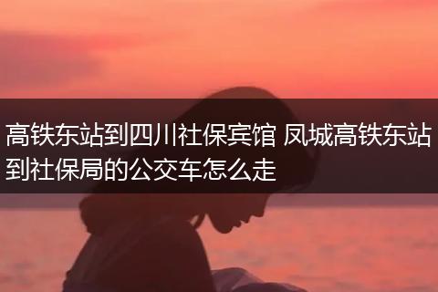 高铁东站到四川社保宾馆 凤城高铁东站到社保局的公交车怎么走