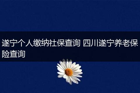 遂宁个人缴纳社保查询 四川遂宁养老保险查询