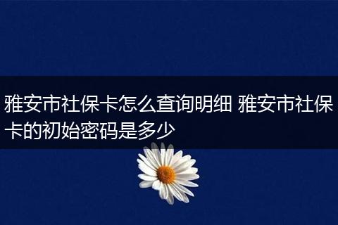 雅安市社保卡怎么查询明细 雅安市社保卡的初始密码是多少