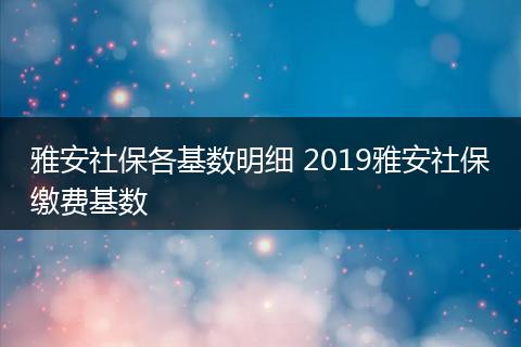 雅安社保各基数明细 2019雅安社保缴费基数