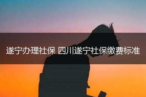 遂宁办理社保 四川遂宁社保缴费标准