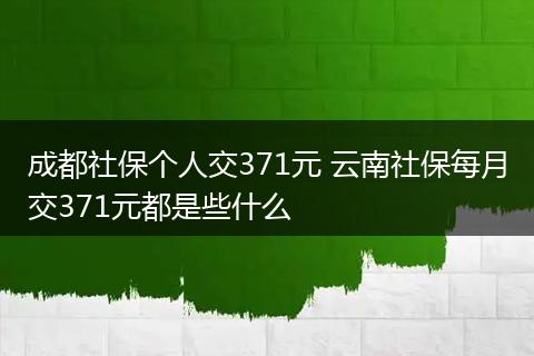 成都社保个人交371元 云南社保每月交371元都是些什么