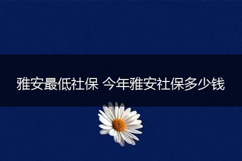雅安最低社保 今年雅安社保多少钱