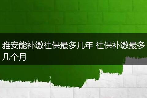 雅安能补缴社保最多几年 社保补缴最多几个月