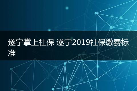 遂宁掌上社保 遂宁2019社保缴费标准