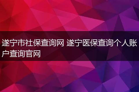 遂宁市社保查询网 遂宁医保查询个人账户查询官网