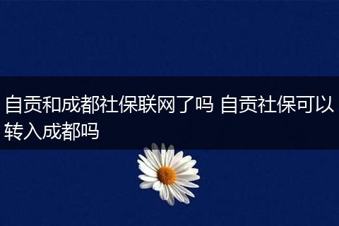 自贡和成都社保联网了吗 自贡社保可以转入成都吗