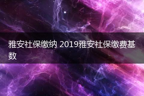 雅安社保缴纳 2019雅安社保缴费基数