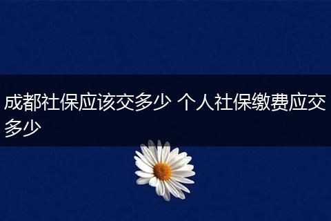 成都社保应该交多少 个人社保缴费应交多少