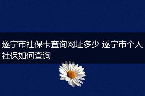 遂宁市社保卡查询网址多少 遂宁市个人社保如何查询